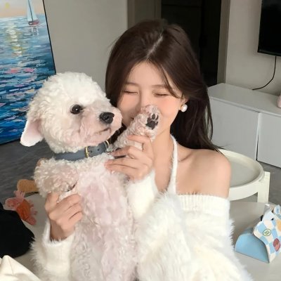 完美房子